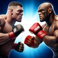 MMA经理2：终极格斗国际服（MMA Manager 2: Ultimate Fight）